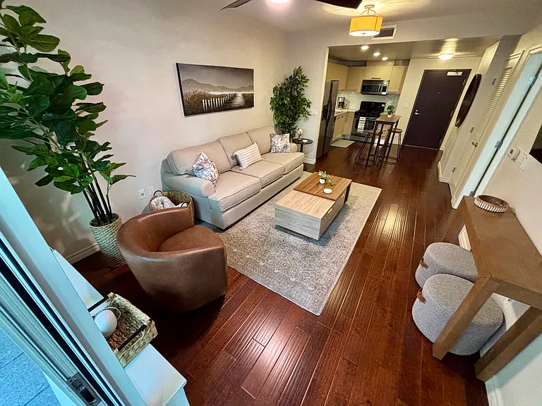 Living room and kitchen