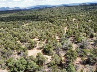 5 Cattlemens Ct, Pie Town, NM 87827