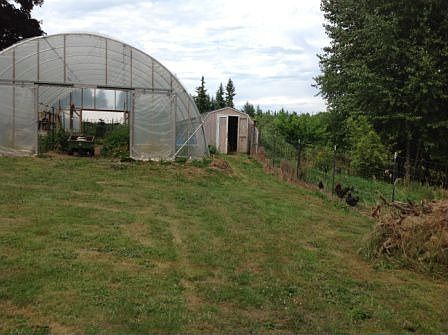 Greenhouse & chicken coop