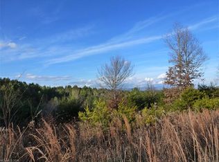 9 Ginger Spice Trl, Weaverville, NC 28787