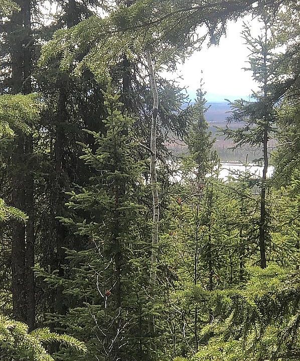1st image of 5 Elliot Hwy
