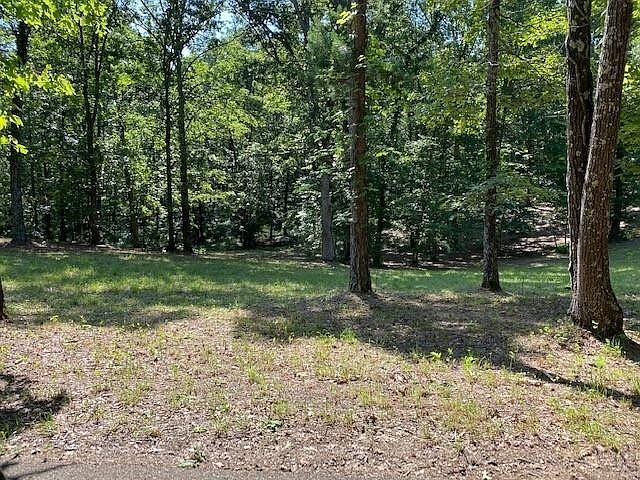 2nd image of 0 Sandbar Ln
