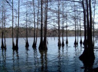 8 Hickory Landing Ct, Elloree, SC 29047