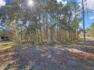 2 Portulaca Ct, Homosassa, FL 34446