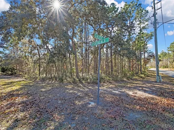 2 Portulaca Ct, Homosassa, FL 34446