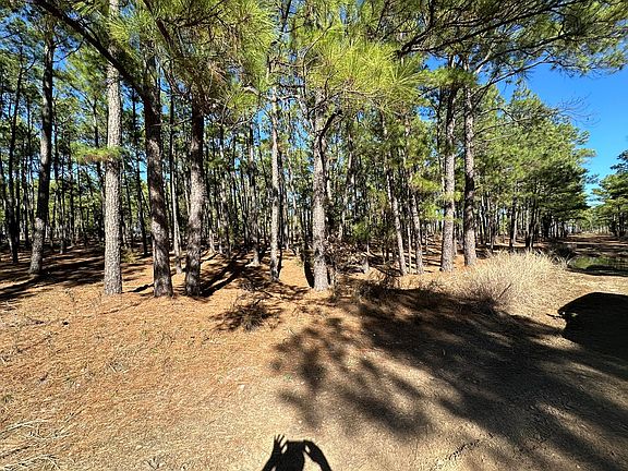4th image of LOT 12 Hickory Ridge Dr