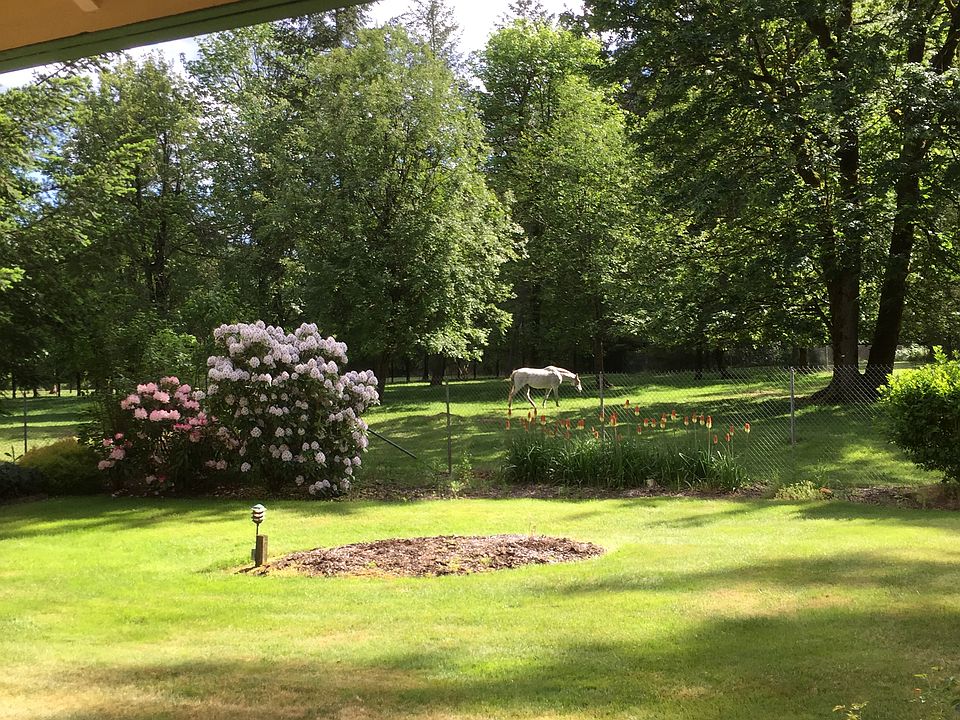 Park-like setting