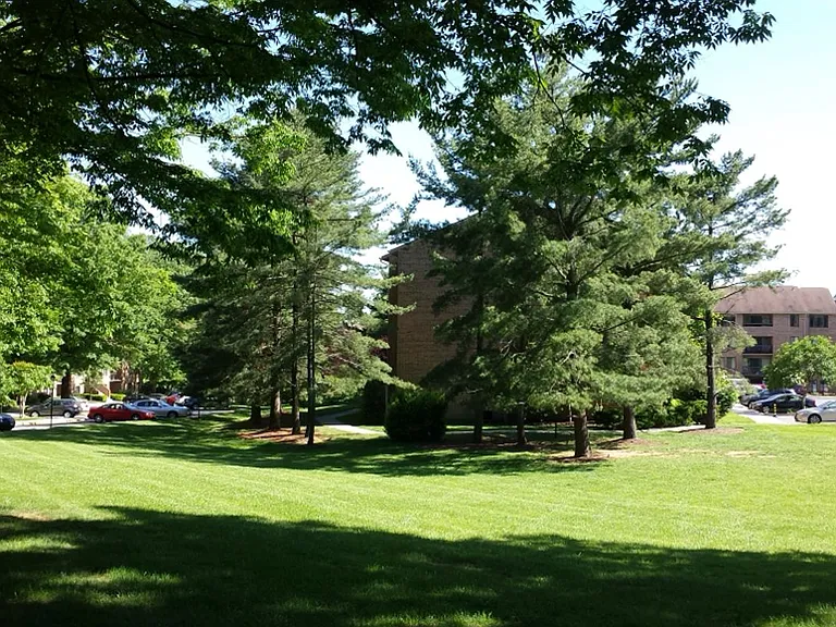 11309 Commonwealth Dr #T2 — Photo 23