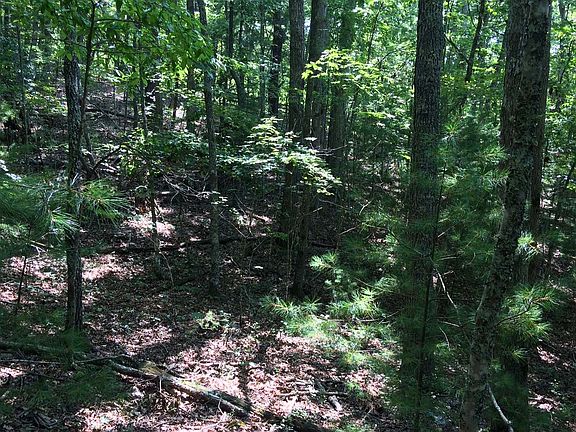 4th image of Birchwood Trl Lot 5