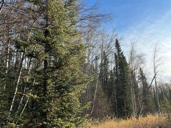 26231 W Crystal Lake Rd, Willow, AK 99688