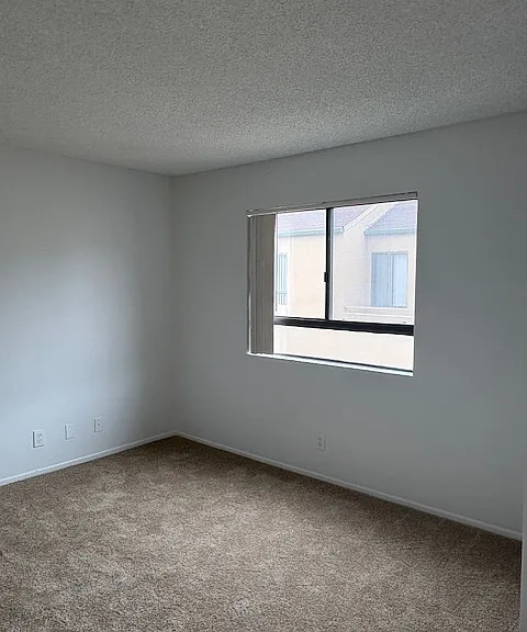 817 Walnut St #19 — Photo 11