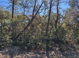 4282 W Drake Ln, Citrus Springs, FL 34433