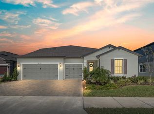 19113 Perennial Rose Ave, Lutz, FL 33558