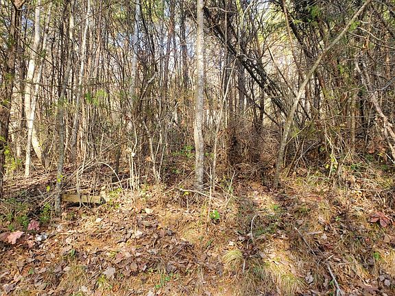 2nd image of LOT One Kingwood Cir