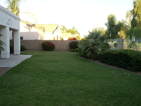 Backyard view