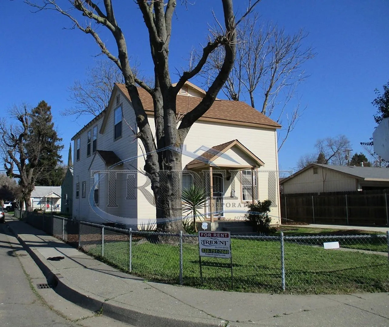 (2369y) Louise and Wilkie Property — Photo 2