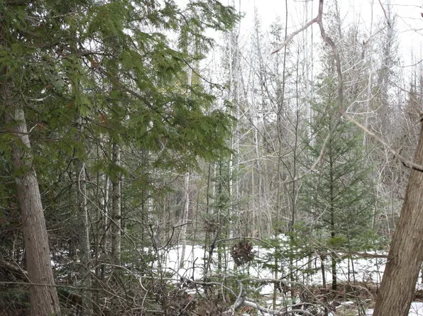 0 State Rd NE, Kalkaska, MI 49646