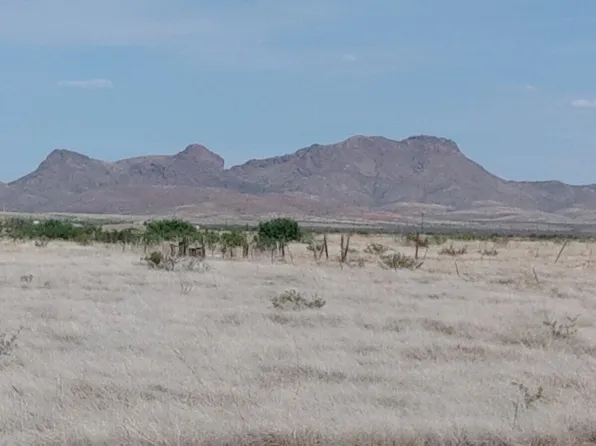 TBD E CLL Francisco -- #82 and 81, Douglas, AZ 85067