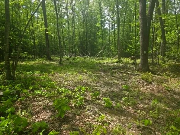 84 Kyler Rd, Craigsville, WV 26205