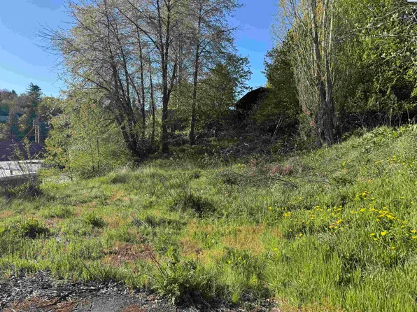 129 NW True St, Pullman, WA 99163