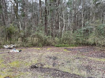 2920 Spring Creek Road, Aurora, NC, 27806