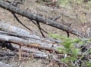 0 Xx South Pass Rd, Everson, WA 98247