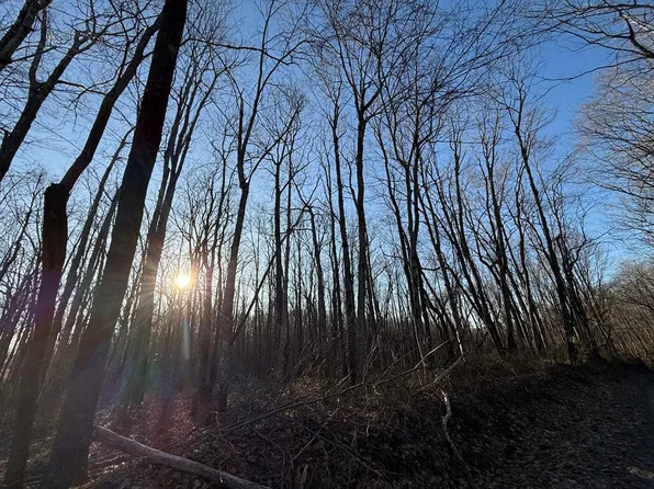 Tommys Creek Rd, Odd, WV 25902