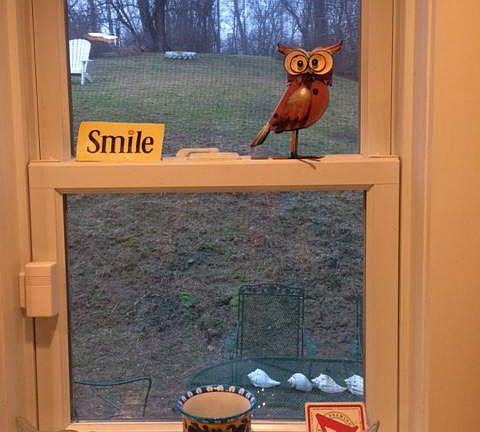 Looking Out Kitchen Window