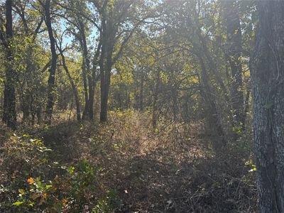 2139-2 Bush Rd, Poolville, TX, 76487