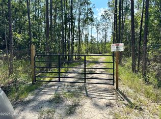 3789 Pine Pitch Ct, Ormond Beach, FL 32174