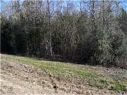 2nd image of 7150 Lorna Rd