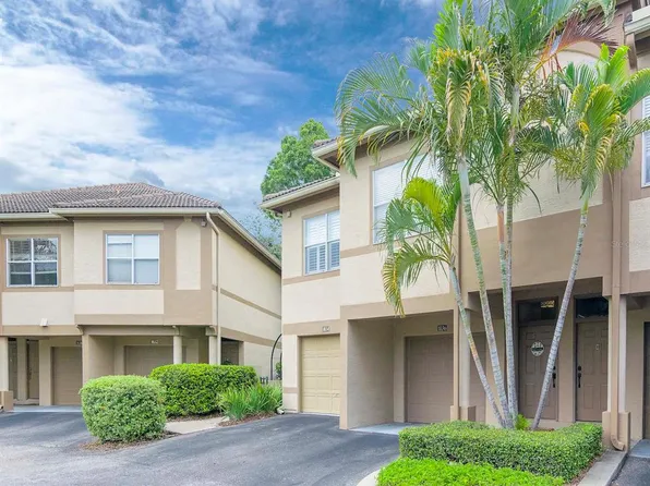 1036 Normandy Trace Rd, Tampa, FL 33602