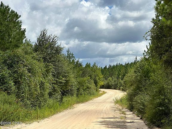 5th image of TRACT 6418 Mattox Springs Rd