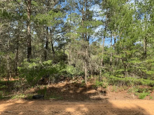 0 Louise Avenue, Interlachen, FL 32148