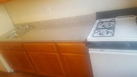 Rented by Old Brooklyn Real Estate Inc