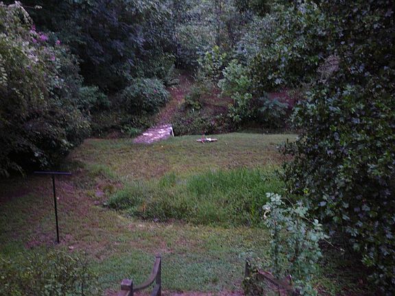 back yard