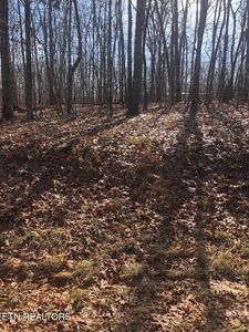 5248 Pawnee Rd, Crossville, TN, 38572