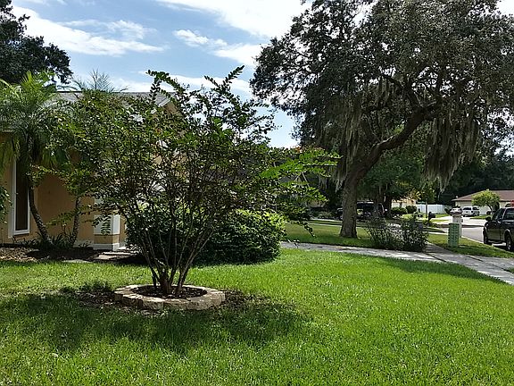 Big front yard Bokor Realty