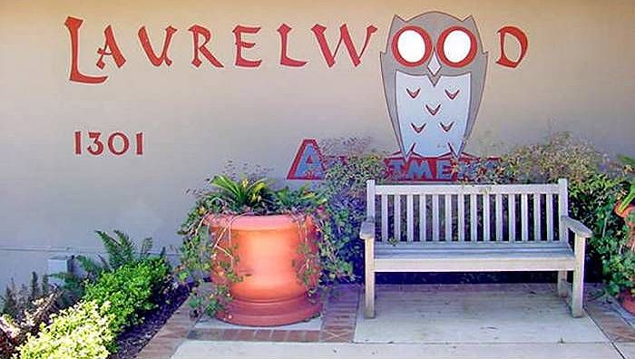 LWA Owl