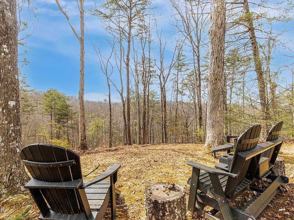 11th image of this home