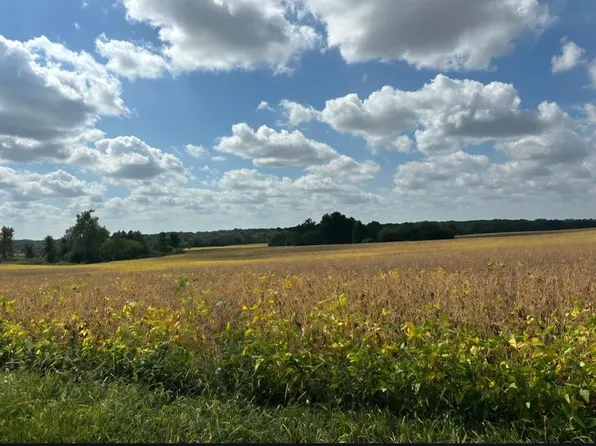 0 County Rd, Hale, MO 64643