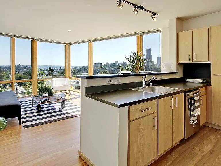 Kitchen and Living Room with Floor-to-Ceiling Windows