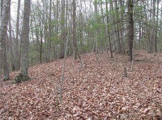 1 Dix Creek One Rd, Leicester, NC 28748