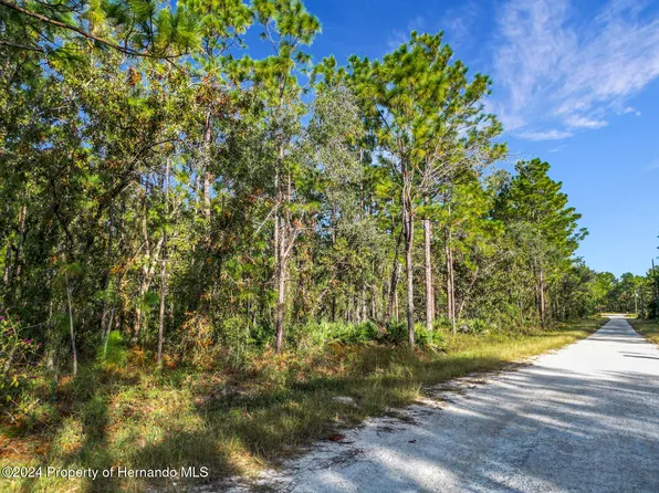 0 Macek Rd, Brooksville, FL 34613