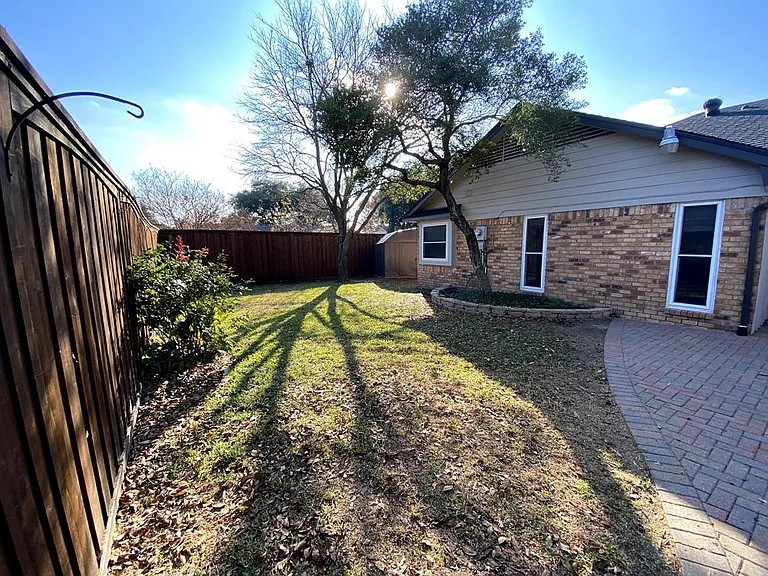 Backyard green area