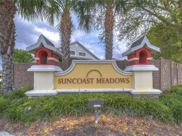 17455 Garden Heath Ct, Land O Lakes, FL 34638