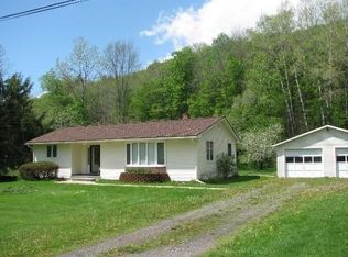 75 Clark Rd, Deposit, NY 13754