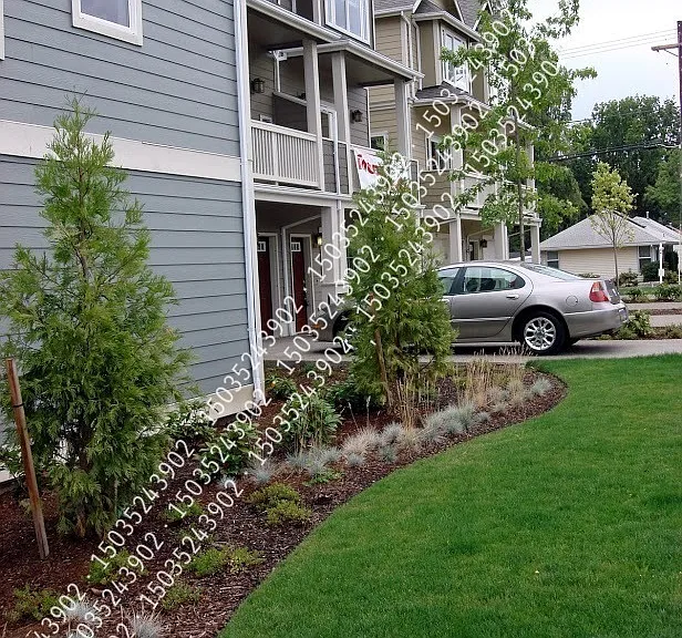 13749 SW Hazel St #101 — Photo 2
