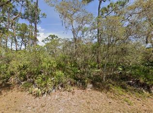 124 Audrey Ave NW LOT 2, Lake Placid, FL 33852