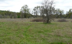 3rd image of 12792 Classic Meadow Pl